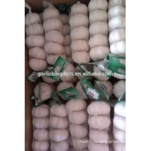 Продаем белый чеснок (5,0 см, 7 кг сетчатый мешок)